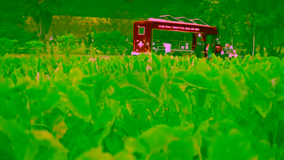 Go Hawaii The People The Place Connect Through Cuisine Ad Commercial Brand Imagery Photoshoot 2