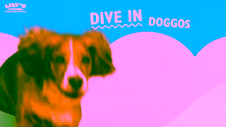 Lily's Kitchen A Taste Of The Seaside Ad Commercial Brand Imagery Photoshoot 2