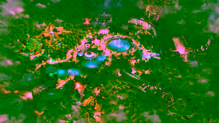 Universal Orlando Resort 2024 UOR WBMoM Story AWR SYM 16x9 SPA DOM 15 GO DATE TKTPKG 23 98fps 2k Ad Commercial Brand Imagery Photoshoot 2