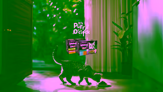 Whiskas Its Purr OClock Ad Commercial Brand Imagery Photoshoot 2