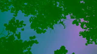 Moritomo Lighting 15 OFF Sale NOW Light Up Your 4th of July with Morimoto Lighting Ad Commercial Brand Imagery Photoshoot 1