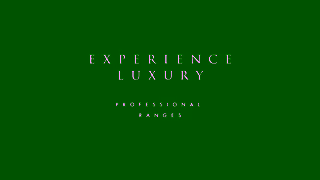 ZLINE Experience Luxury ZLINE Professional Ranges Ad Commercial Brand Imagery Photoshoot 2