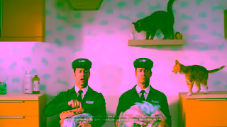 MAYTAG Remove 5x More Pet Hair with the Maytag Pet Pro System Ad Commercial Brand Imagery Photoshoot 1