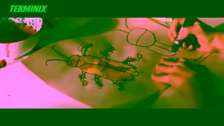 Terminix VTMX4026000H TMX 2024 Brand Roaches Roach Art AMZYT15 1 Ad Commercial Brand Imagery Photoshoot 0