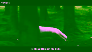 YuMOVE YuMOVE You Might Find Your Dog Harder To Catch Than Ever Ad Commercial Brand Imagery Photoshoot 1