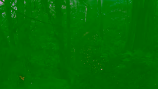 Topaz Labs TVAI commercial christmas Ad Commercial Brand Imagery Photoshoot 1