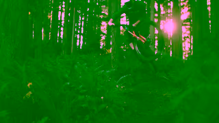 Topaz Labs TVAI commercial christmas Ad Commercial Brand Imagery Photoshoot 2