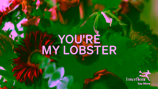 Interflora Q424 AD 03 c Ad Commercial Brand Imagery Photoshoot 2