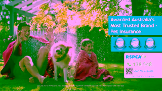 RSPCA RSPCA Pet Insurance Sprinkler TVC 30 secs Ad Commercial Brand Imagery Photoshoot 2