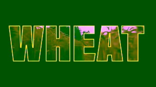 Contiki Live The Legend Export 15s AUS Ad Commercial Brand Imagery Photoshoot 0