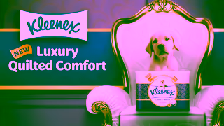Kleenex Kleenex Luxury Quilts Toilet Paper The Ultimate Quilted Comfort Ad Commercial Brand Imagery Photoshoot 1