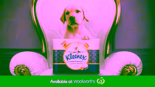 Kleenex Kleenex Luxury Quilts Toilet Paper The Ultimate Quilted Comfort Ad Commercial Brand Imagery Photoshoot 2