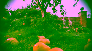 Jo Malone London English Pear Jo Malone London Ad Commercial Brand Imagery Photoshoot 0