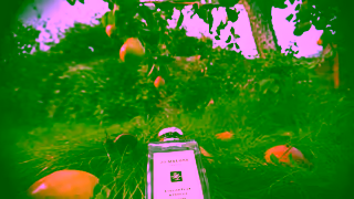 Jo Malone London English Pear Jo Malone London Ad Commercial Brand Imagery Photoshoot 1