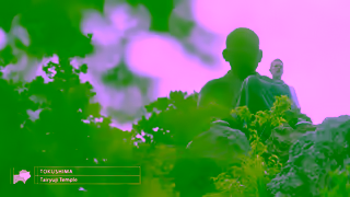 Visit Japan TOKYOSHIKOKUTemples Teach You the Spirit of Japan Ad Commercial Brand Imagery Photoshoot 2