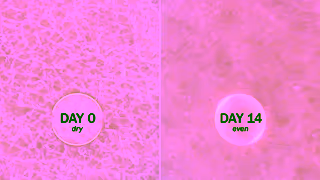 Olay Olays New Skin Solutions Body Wash Even Skin in Just 14 Days Ad Commercial Brand Imagery Photoshoot 2