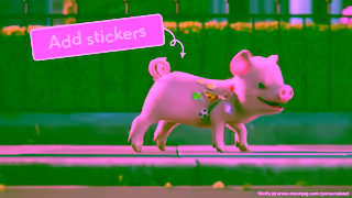 Moonpig MP FD 25 Landscape 15 sec Ad Commercial Brand Imagery Photoshoot 0