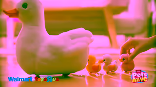 ZURU Toys 2 3 or 4 Ad Commercial Brand Imagery Photoshoot 1