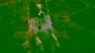 AIA Health And Wellbeing Program Ad Commercial Brand Imagery Photoshoot 0