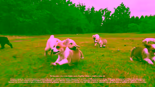 GapOnly Accidents happen Ad Commercial Brand Imagery Photoshoot 0