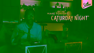 Sheba SHEBA Caturday Night Ad Commercial Brand Imagery Photoshoot 2