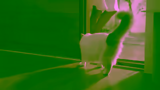 Furbo Introducing the all new Furbo 360 Cat Camera The first pet camera designed specifically for cats Ad Commercial Brand Imagery Photoshoot 0