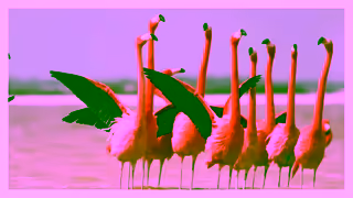 Travelbag Travelbag Out There Made Easier Ad Commercial Brand Imagery Photoshoot 1