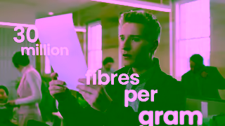 Double A Paper DoubleA 15 PAPERTREE V4 16x9 Ad Commercial Brand Imagery Photoshoot 0