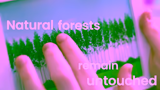 Double A Paper DoubleA 15 PAPERTREE V4 16x9 Ad Commercial Brand Imagery Photoshoot 2