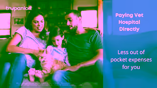 Trupanion Trupanion Australia Pet Insurance 30s Ad Commercial Brand Imagery Photoshoot 1