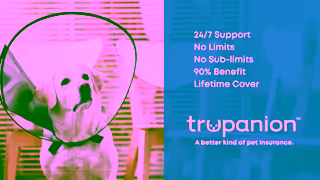 Trupanion Trupanion Australia Pet Insurance 30s Ad Commercial Brand Imagery Photoshoot 2