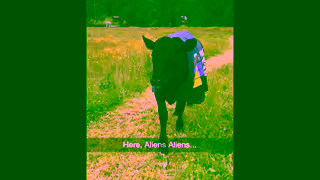 Explore Seattle Southside Please return to Seattle Southside Ad Commercial Brand Imagery Photoshoot 0