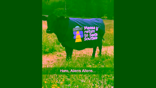 Explore Seattle Southside Please return to Seattle Southside Ad Commercial Brand Imagery Photoshoot 1