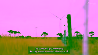 ACCIONA How does livestock interact with windfarms in Australia Ad Commercial Brand Imagery Photoshoot 2