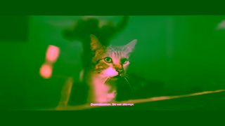 PlayStation Play Has No Limits PS5 Ad Commercial Brand Imagery Photoshoot 1