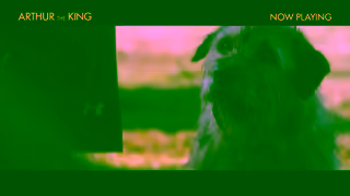 Lionsgate Movies ARTHUR THE KING 2024 WINGS NOW PLAYING Mark Wahlberg Simu Liu Juliet Rylance Ad Commercial Brand Imagery Photoshoot 2