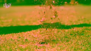 VICE Golf VICE GOLF offers premium golf balls for unbeatable prices Ad Commercial Brand Imagery Photoshoot 1