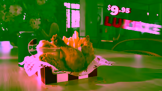 KFC KFCs 995 Luxe Lunch Ad Commercial Brand Imagery Photoshoot 0