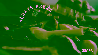 GRAZA Michelin Quality Olive Oil 30s Ad Commercial Brand Imagery Photoshoot 1