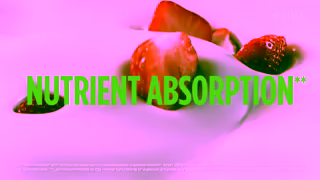 Activia Activia 3 benefits for a healthy you 6 sec Ad Commercial Brand Imagery Photoshoot 1