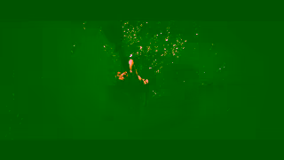 IFC Films DangerousAnimals 30 Alone30Review V1Rev 1920x1080 239 24fps H264 Digital Tagged NowPlaying Ad Commercial Brand Imagery Photoshoot 1