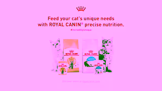 Royal Canin ROYAL CANIN INCREDIBLY UNIQUE CATS Ad Commercial Brand Imagery Photoshoot 2