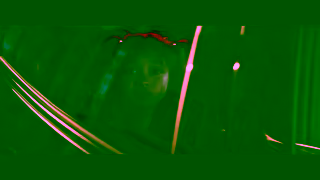 LeShuttle LeShuttle Sustainable travel Ad Commercial Brand Imagery Photoshoot 2