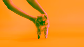 PetBarn 2hr Delivery Guarantee Ad Commercial Brand Imagery Photoshoot 0