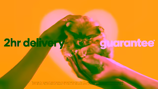 PetBarn 2hr Delivery Guarantee Ad Commercial Brand Imagery Photoshoot 1