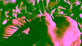 Filippo Berio 01264 01 certainty 16x9 trueview ad 30sec 2 Ad Commercial Brand Imagery Photoshoot 0