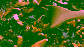 Tesco Tesco Food Love Stories Cathys It Gets Easier Mushroom Stew Tesco Ad Commercial Brand Imagery Photoshoot 0