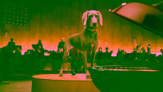 Pedigree PEDIGREE Tail Orchestra Satisfy your dog with CANINE COOKOUTS Ad Commercial Brand Imagery Photoshoot 0