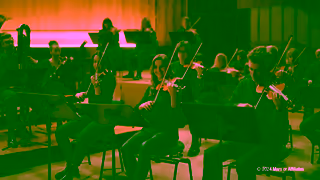 Pedigree PEDIGREE Tail Orchestra Satisfy your dog with CANINE COOKOUTS Ad Commercial Brand Imagery Photoshoot 2