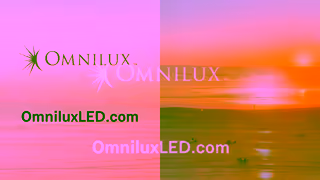 Omnilux Contour CF ND Birds BB 15 Ad Commercial Brand Imagery Photoshoot 2